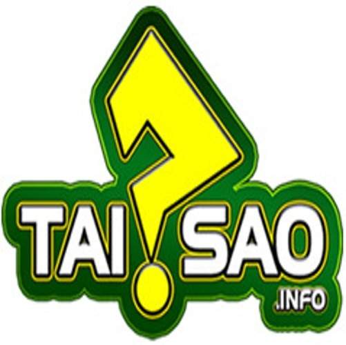 taisaoinfo