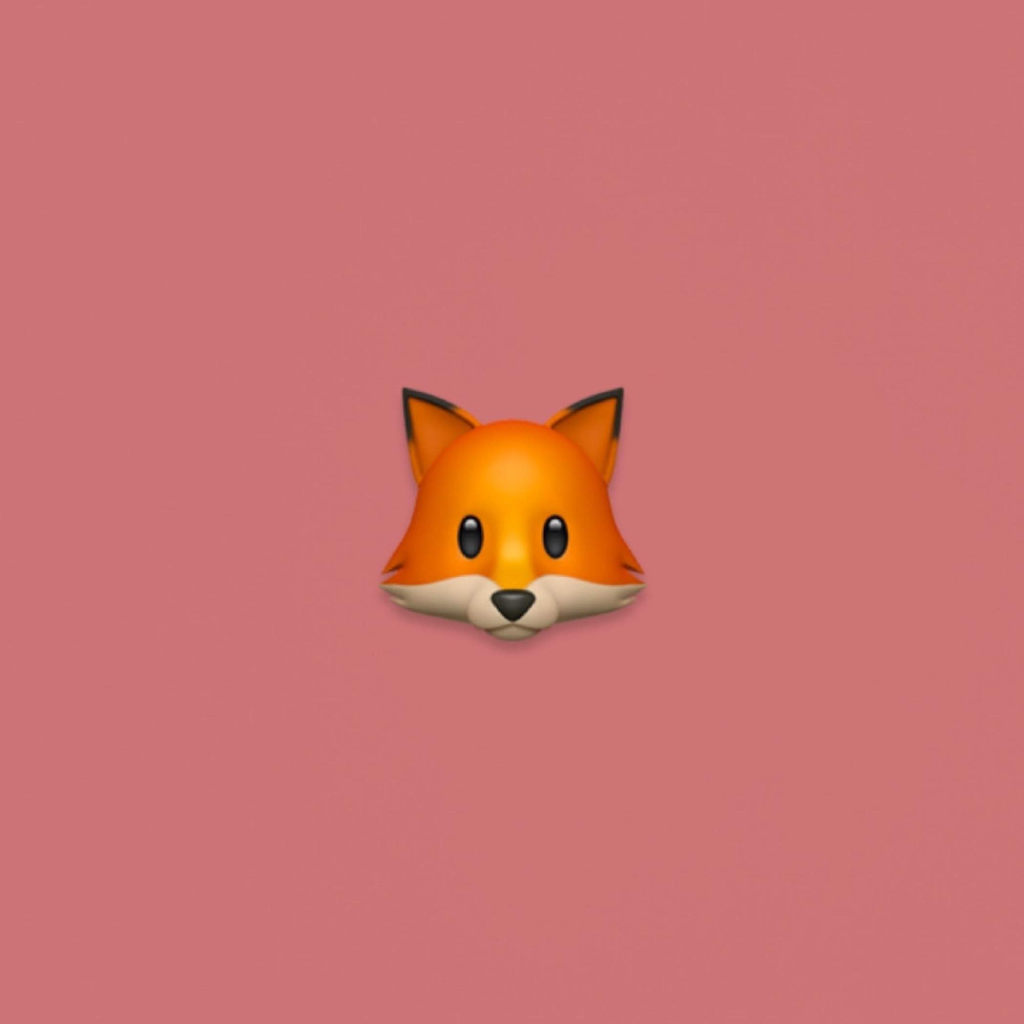 foxy.oxyyy