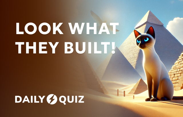 Look what they built!