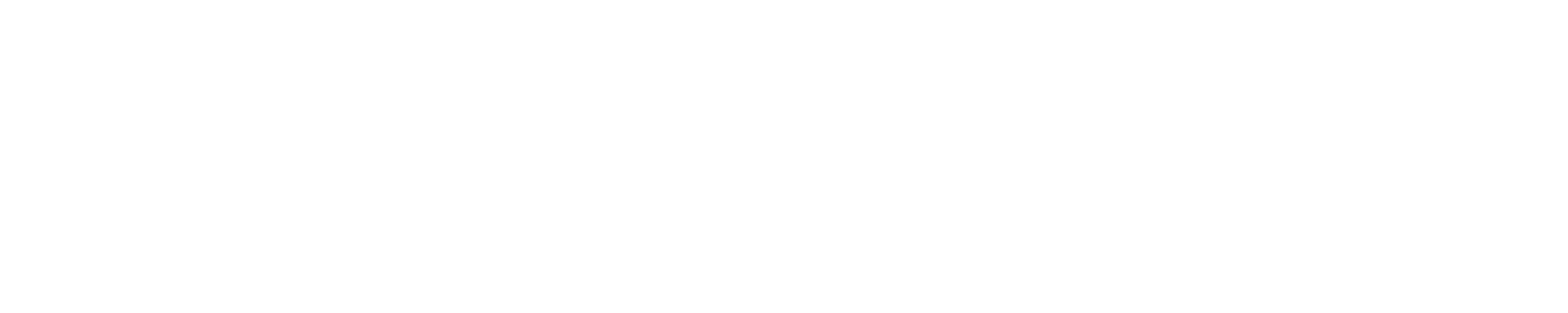 SAEDM