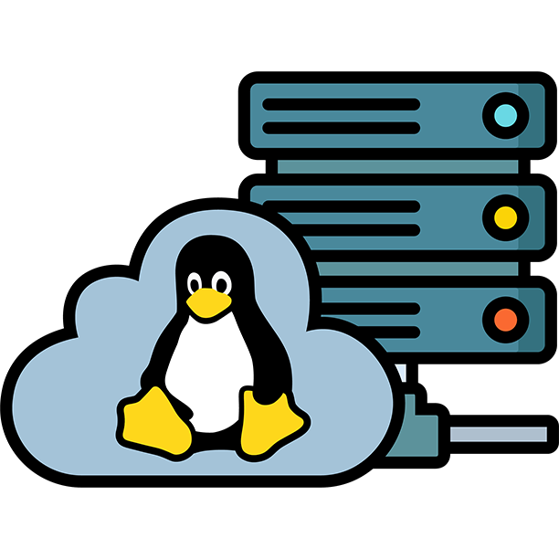 VDS Premium (Dedicated) — Guaranteed Performance on AMD/Intel NVMe Ser