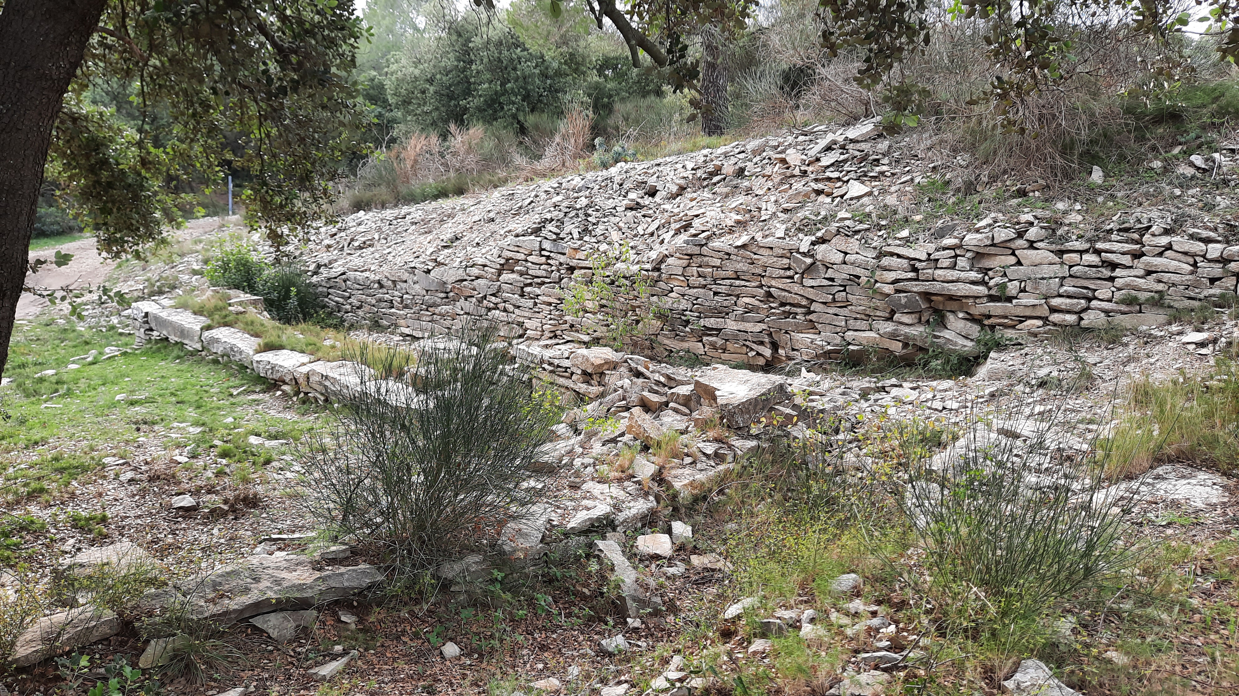 Oppidum de Roque de Viou