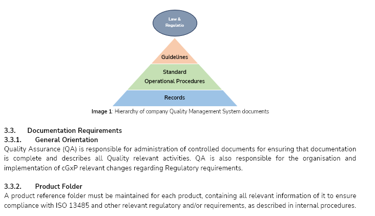 Document Preview