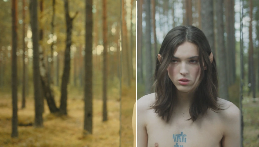 Colorify Cinematic Rec 709 Standard 19