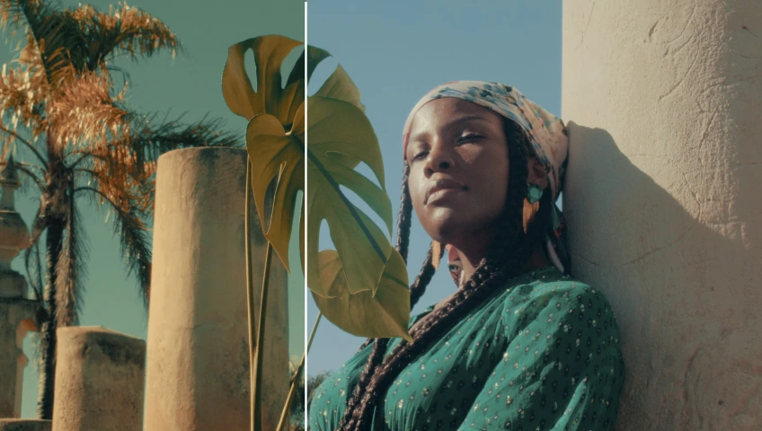 Colorify Cinematic Rec 709 Standard 22