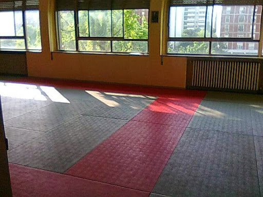 Judo Club Mizudojo