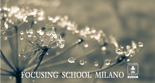 FOCUSING SCHOOL MILANO (WuEmme Aps)