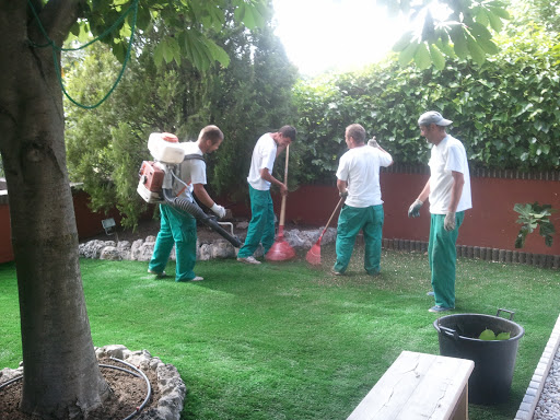 Robert Jardineros mantenimiento de jardines