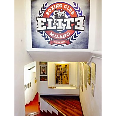 Elite Boxing Club Milano
