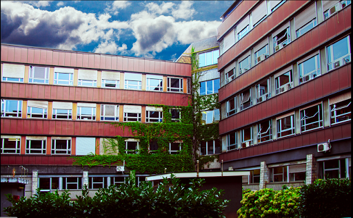 Università degli Studi di Milano • Dipartimento di Chimica