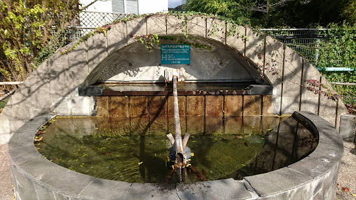 湯～モアリゾート 太山寺温泉なでしこの湯