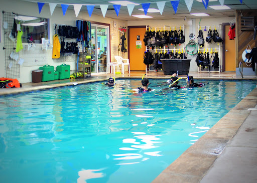 Denver Divers and The Swim School of Denver