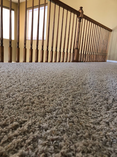 Extreme Carpet Cleaning and Restoration