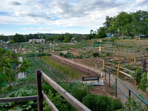 Arvada Community Garden