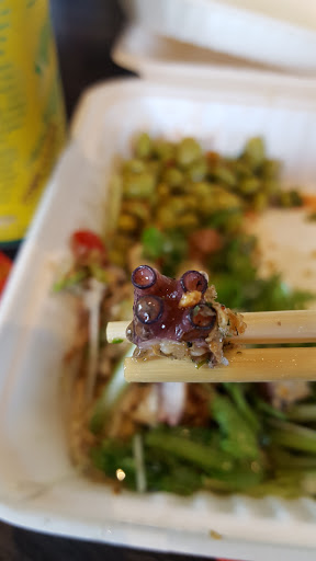 Turtle Boat - Colorado Poki Salads