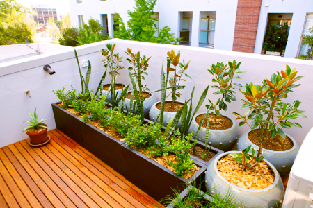 Servizi giardinaggio CORRADI DARIO agronomo Milano potature alberi terrazzi e balconi