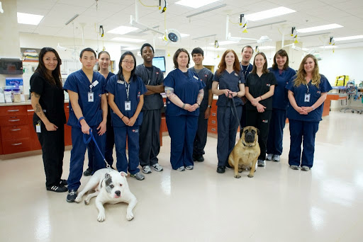 San Francisco SPCA Veterinary Hospital Mission