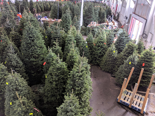 The Guardsmen Christmas Tree Lot