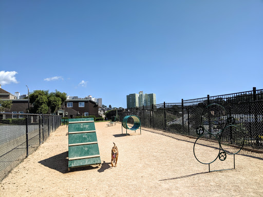 Dog Agility Park