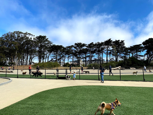 Golden Gate Park Dog Training Area