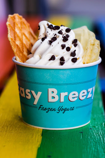 Easy Breezy Frozen Yogurt