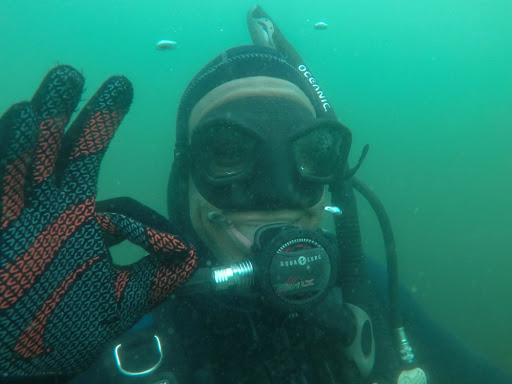 Bay Area School Of Diving