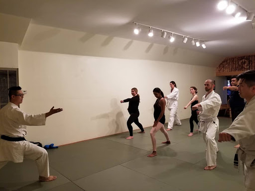 Ishinryu Karate SF