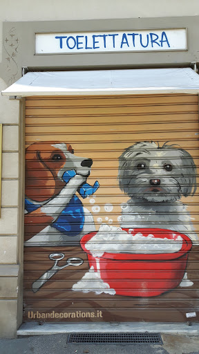 Dog Shop - Bagni e Tosature