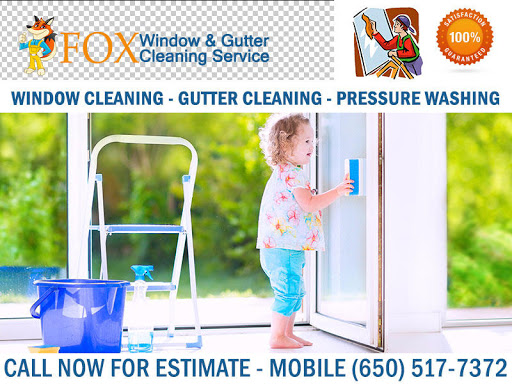 Fox Window & Gutter Cleaning Services
