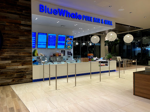 Blue Whale Poke Bar and Grill
