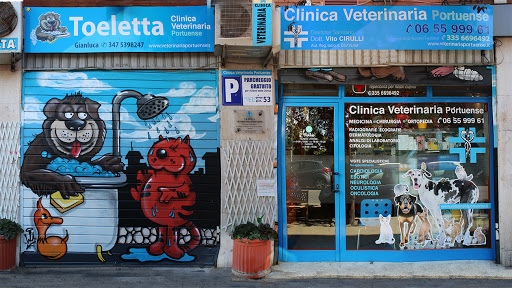 Clinica Veterinaria Portuense