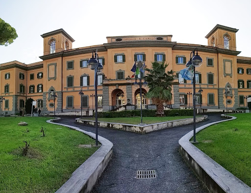 Azienda Ospedaliera San Camillo Forlanini