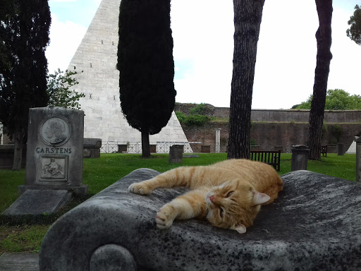 I Gatti della Piramide