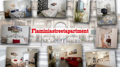Flaminia Street Apartment