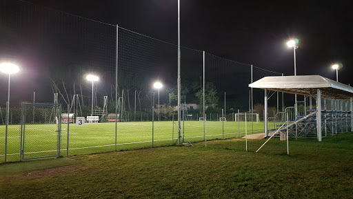 Stadium - Green Club Roma