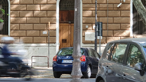 Tribunale Ordinario di Roma - Settore Civile