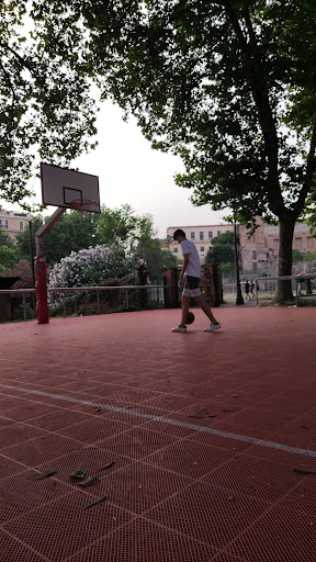 Monti Basketball Court