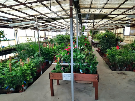 Horticultura Ventosa de Pisuerga Viveros