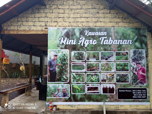 Kawasan Mini Agro Tabanan