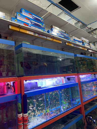 ARI Aquarium Dalung