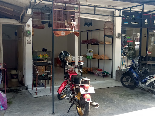 Umalas Bird Shop