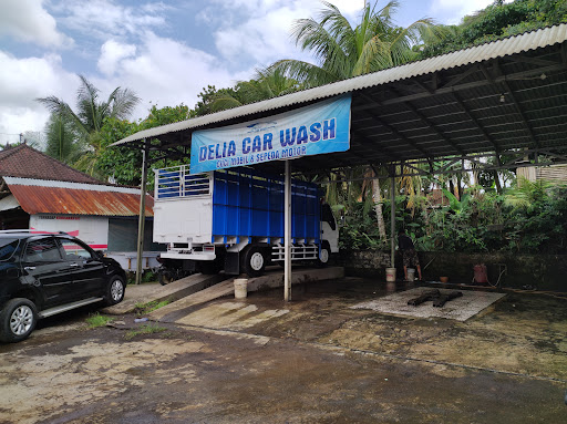 Delia Car Wash