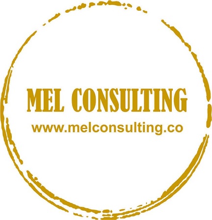 MEL Consulting