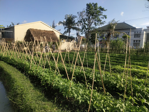 Uma Tegal Agro Farm (Wisata Kebun Desa)