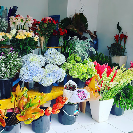 flowers shop/цветочный магазин/toko bunga/jordan florist