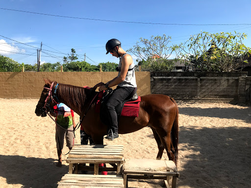 Kuda P Stables Bali Horse Riding Experience