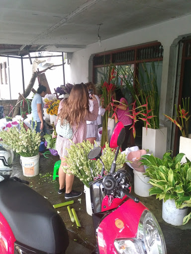 Bali Bunga Florida. Flower Shop