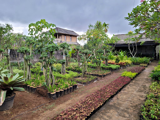 Tukang Taman Bali | Vertical Garden bali | Instalasi irigasi taman@Green stories