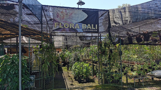 Flora Bali