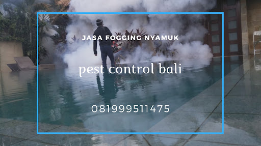 Termite Control Bali : Pembasmi Rayap, Fogging Nyamuk,